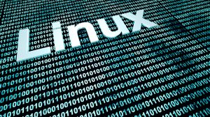 Basic tools for Linux developers