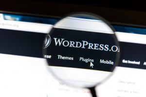 The WordPress REST API: no longer  a CMS, but a development framework